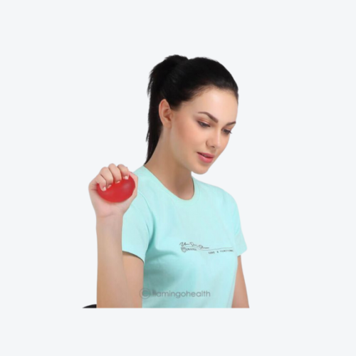 Flamingo Gel Exercise Ball
