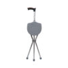 Flamingo Walking Stick with Seat