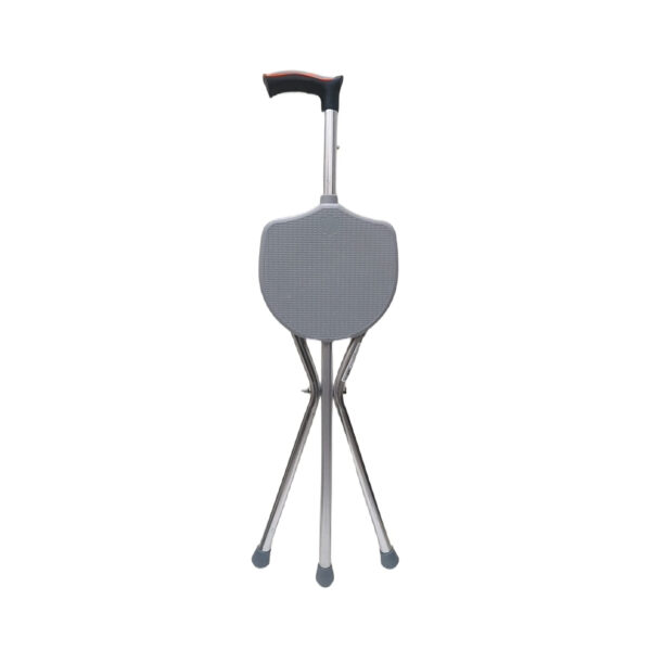 Flamingo Walking Stick with Seat